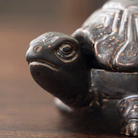 Tête du cendrier carapace de tortue 