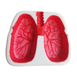 Cendrier original poumon rouge